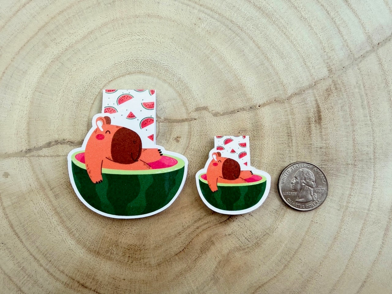Relaxing Capybara in a Watermelon Tub Magnetic Bookmark
