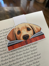 Reader Favorite, detail 2