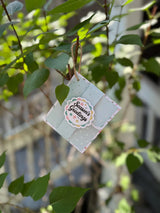 Christmas Gift Card Holder: Season's Greetings (with Ornament Option)